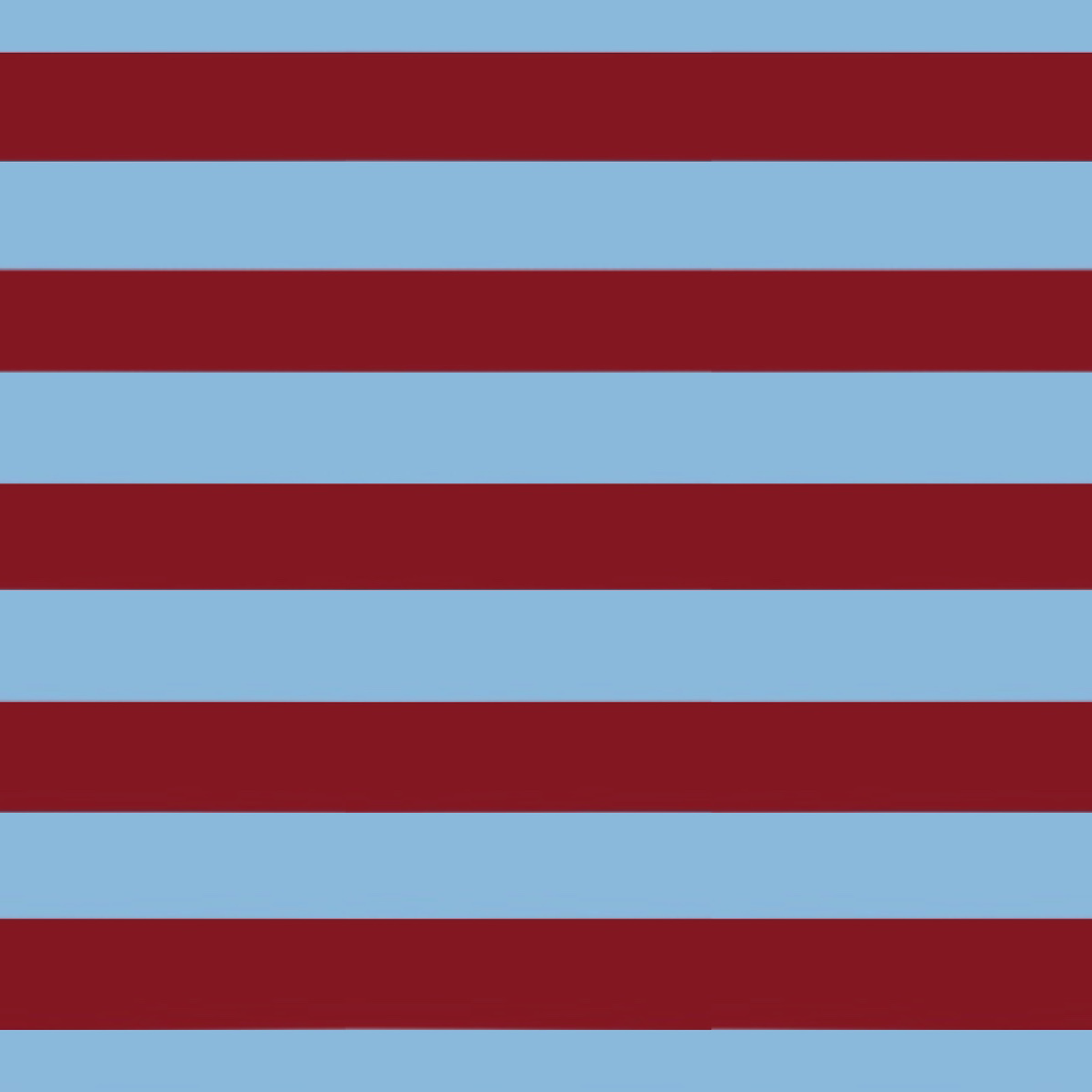 Stripe Society